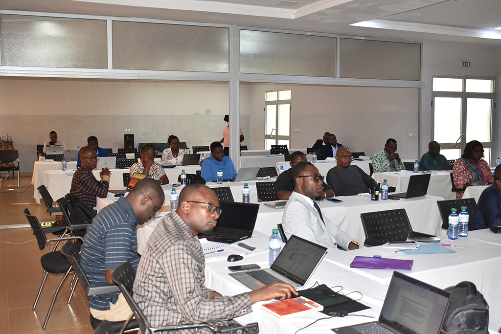 Mise en œuvre de l’AMU au Togo : les ministères et institutions de la république renforcent leurs capacités